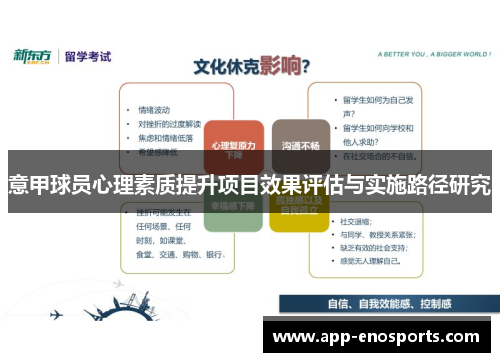 意甲球员心理素质提升项目效果评估与实施路径研究