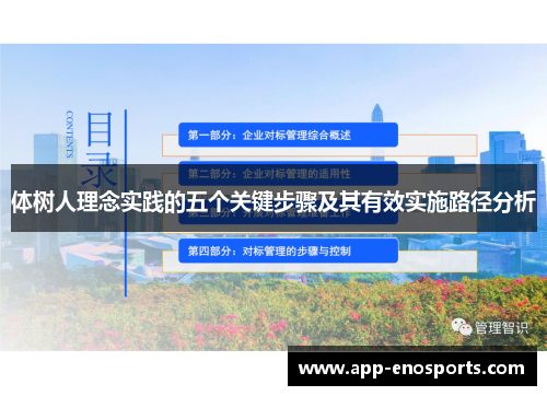 体树人理念实践的五个关键步骤及其有效实施路径分析