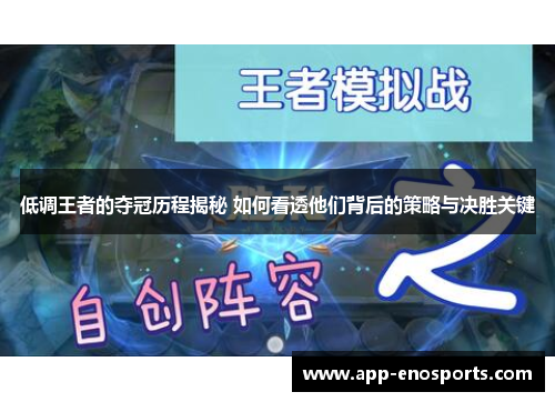 低调王者的夺冠历程揭秘 如何看透他们背后的策略与决胜关键