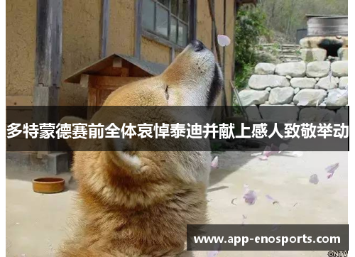 多特蒙德赛前全体哀悼泰迪并献上感人致敬举动