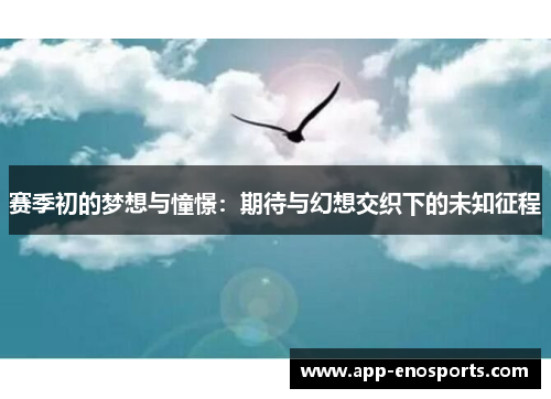 赛季初的梦想与憧憬：期待与幻想交织下的未知征程