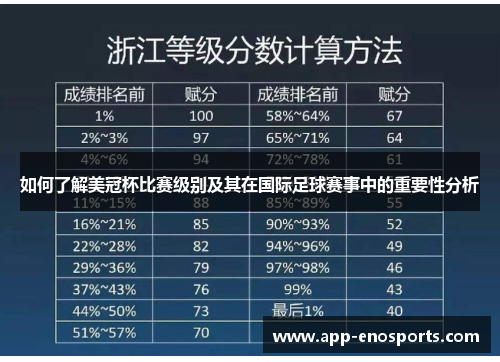 如何了解美冠杯比赛级别及其在国际足球赛事中的重要性分析